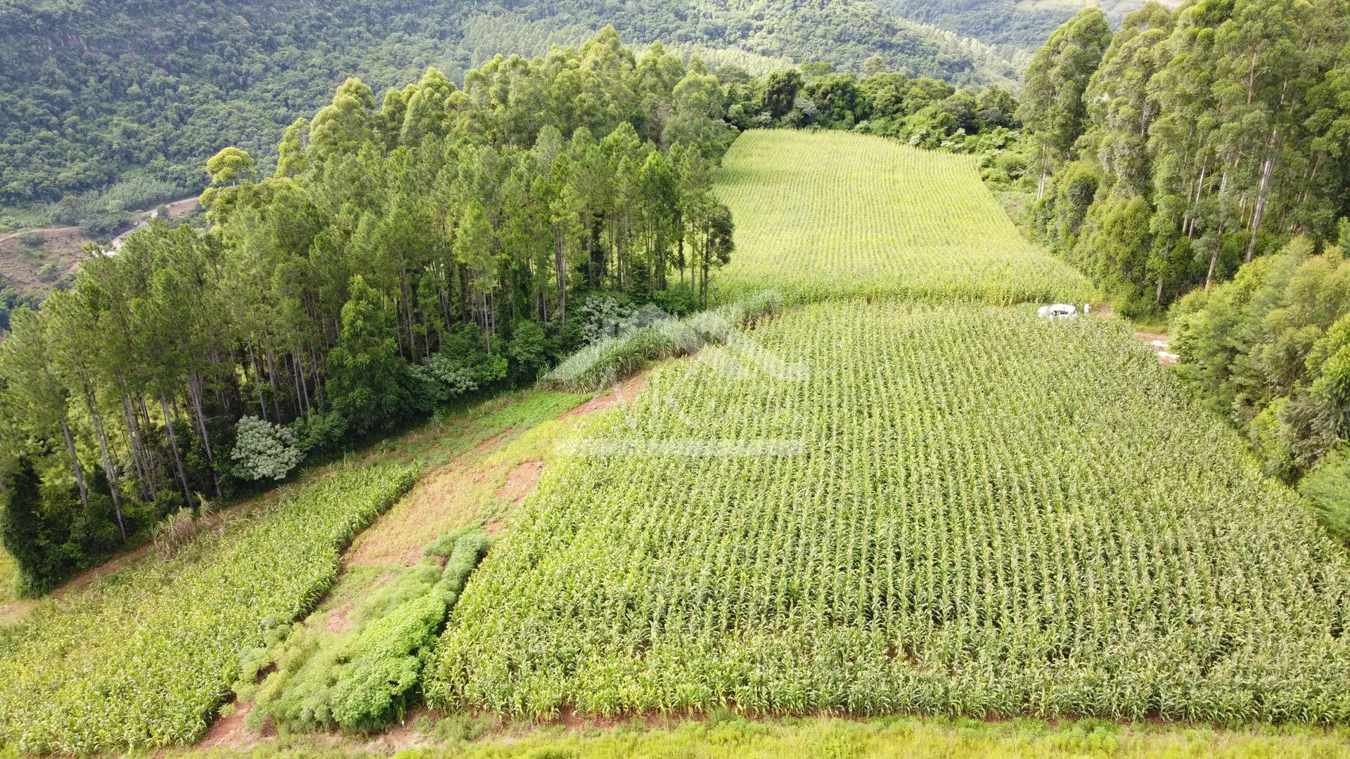 Comprar Área de Terra